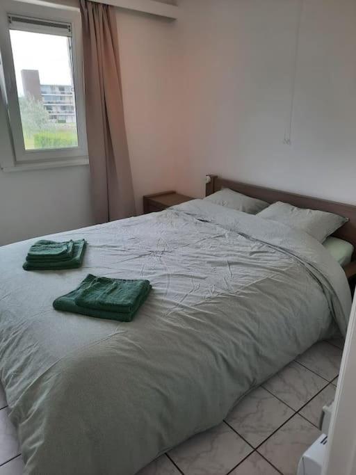 Spacieux Duplex Pres De La Mer 4 Chambres 2 Sdb De Haan Εξωτερικό φωτογραφία